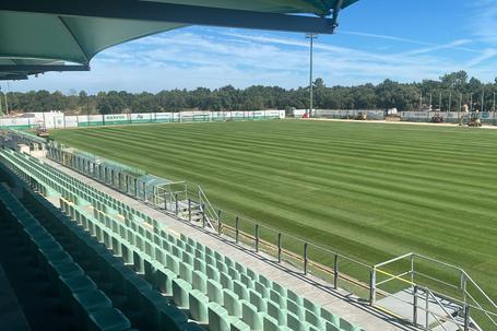 Novo relvado do Estádio Aurélio Pereira