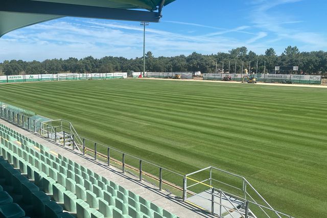 Novo relvado do Estádio Aurélio Pereira