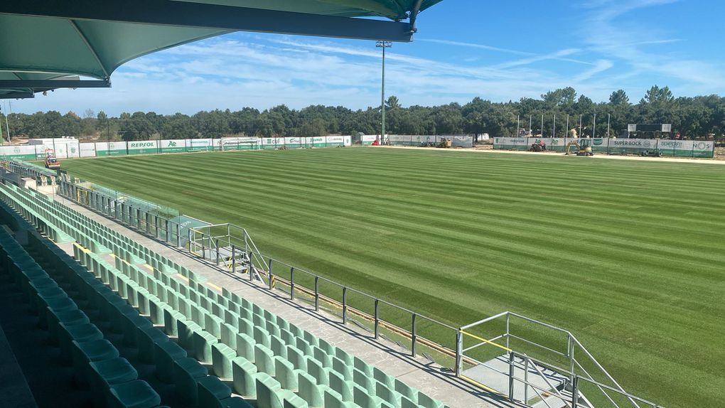 Novo relvado do Estádio Aurélio Pereira