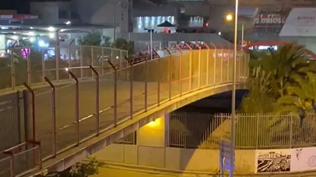 Autocarro do leão também já chegou à Luz