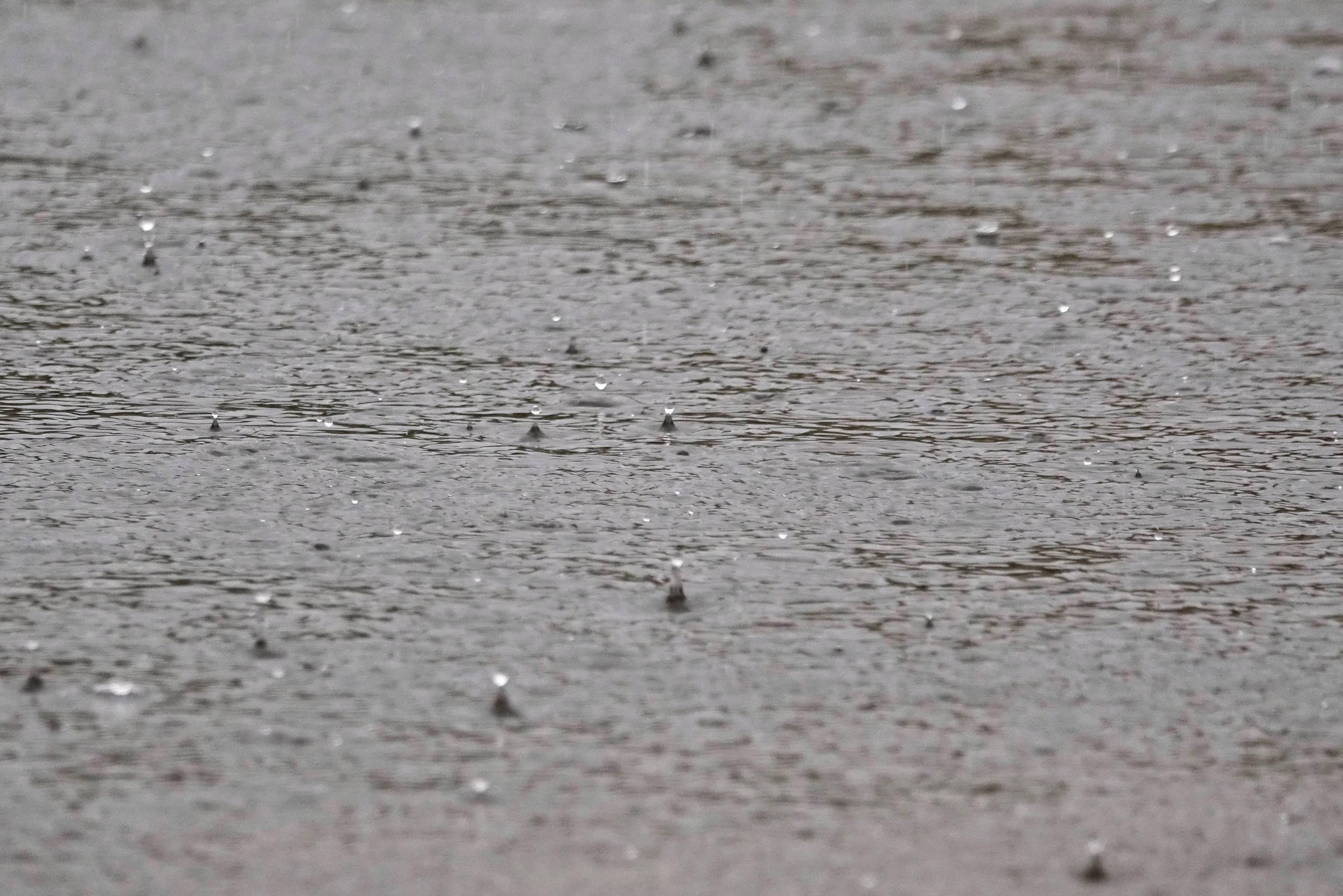 Previsões de chuva