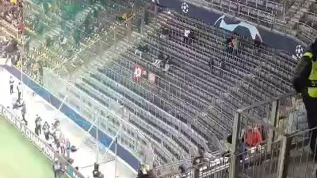 Há adeptos do Benfica nas bancadas
