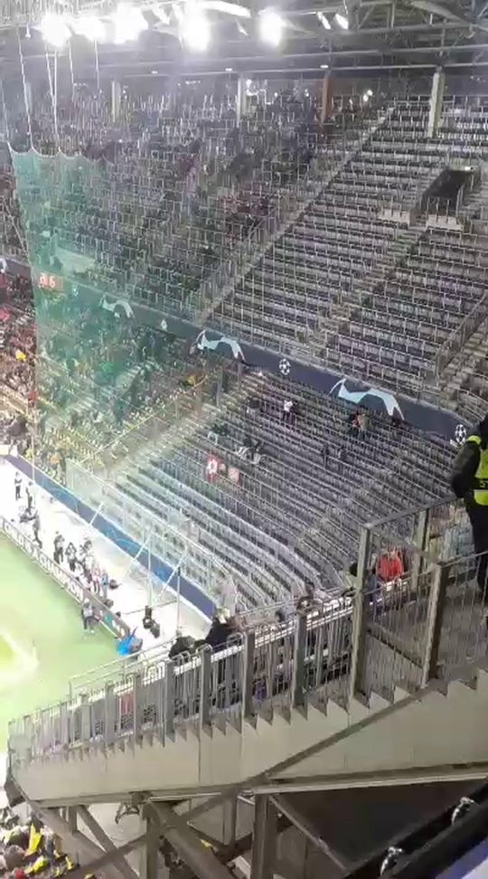 Há adeptos do Benfica nas bancadas