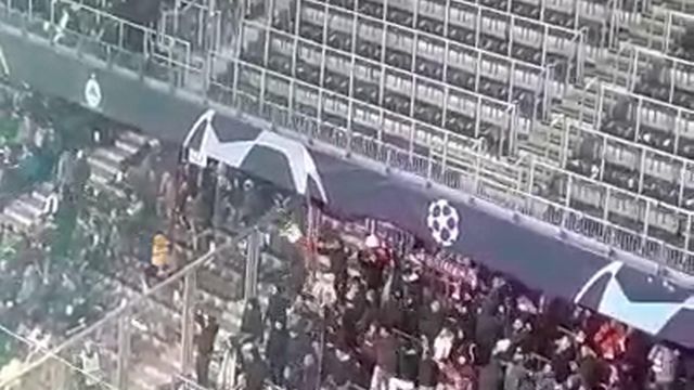 Adeptos do Benfica festejam golo de Arthur Cabral