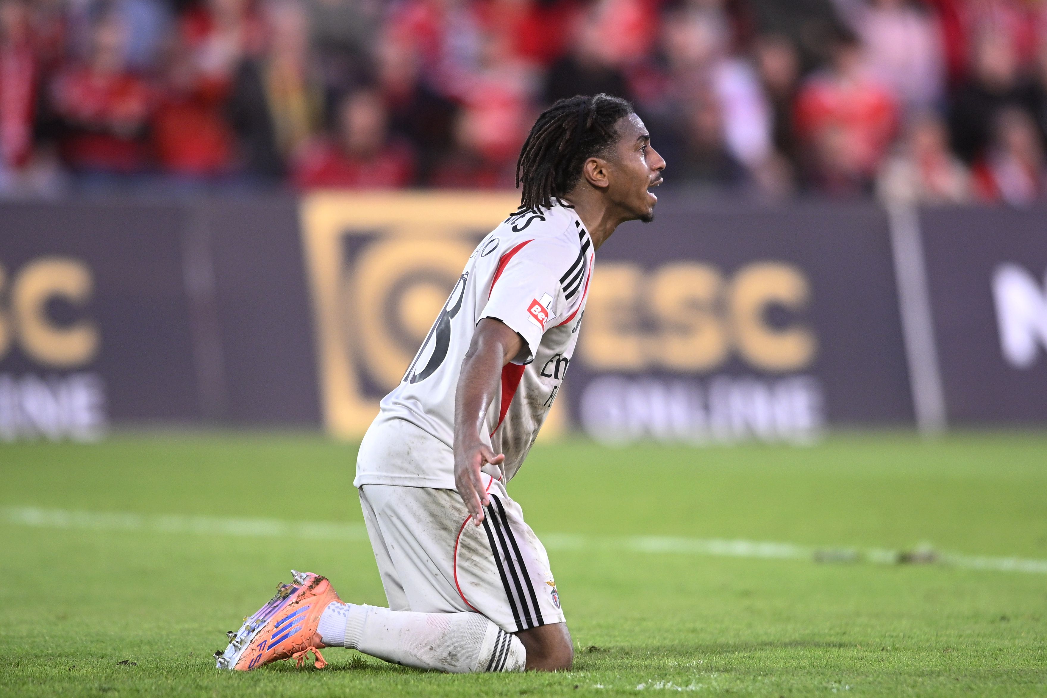 Foto: KAPTA +/ Miguel Lemos