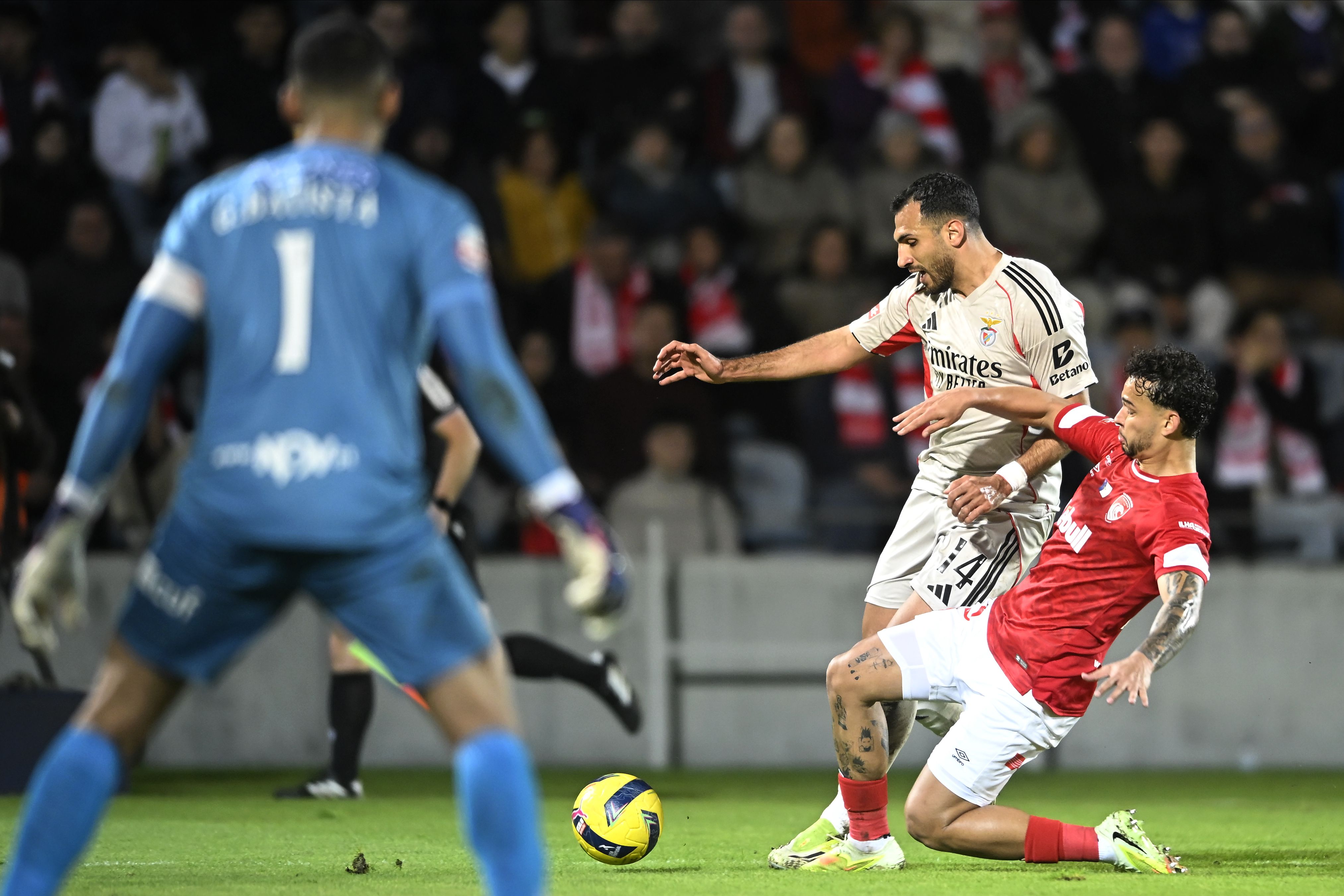 Foto: KAPTA +/ Miguel Lemos