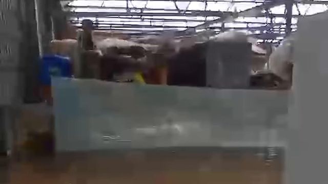 CAR de Montemor-o-Velho devastado a poucos meses dos Europeus de canoagem