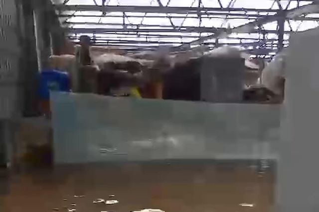 CAR de Montemor-o-Velho devastado a poucos meses dos Europeus de canoagem