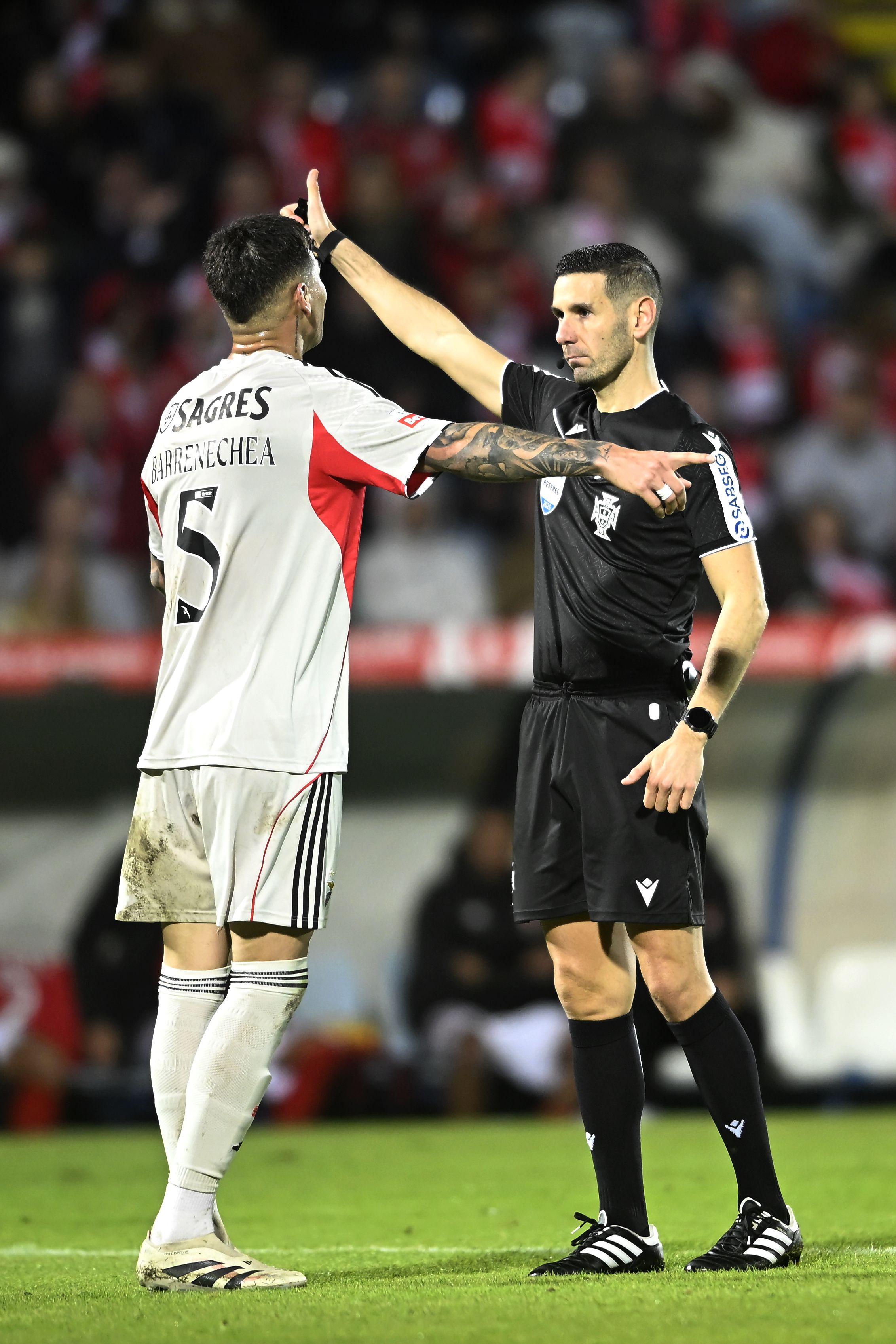 Foto: KAPTA +/ Miguel Lemos