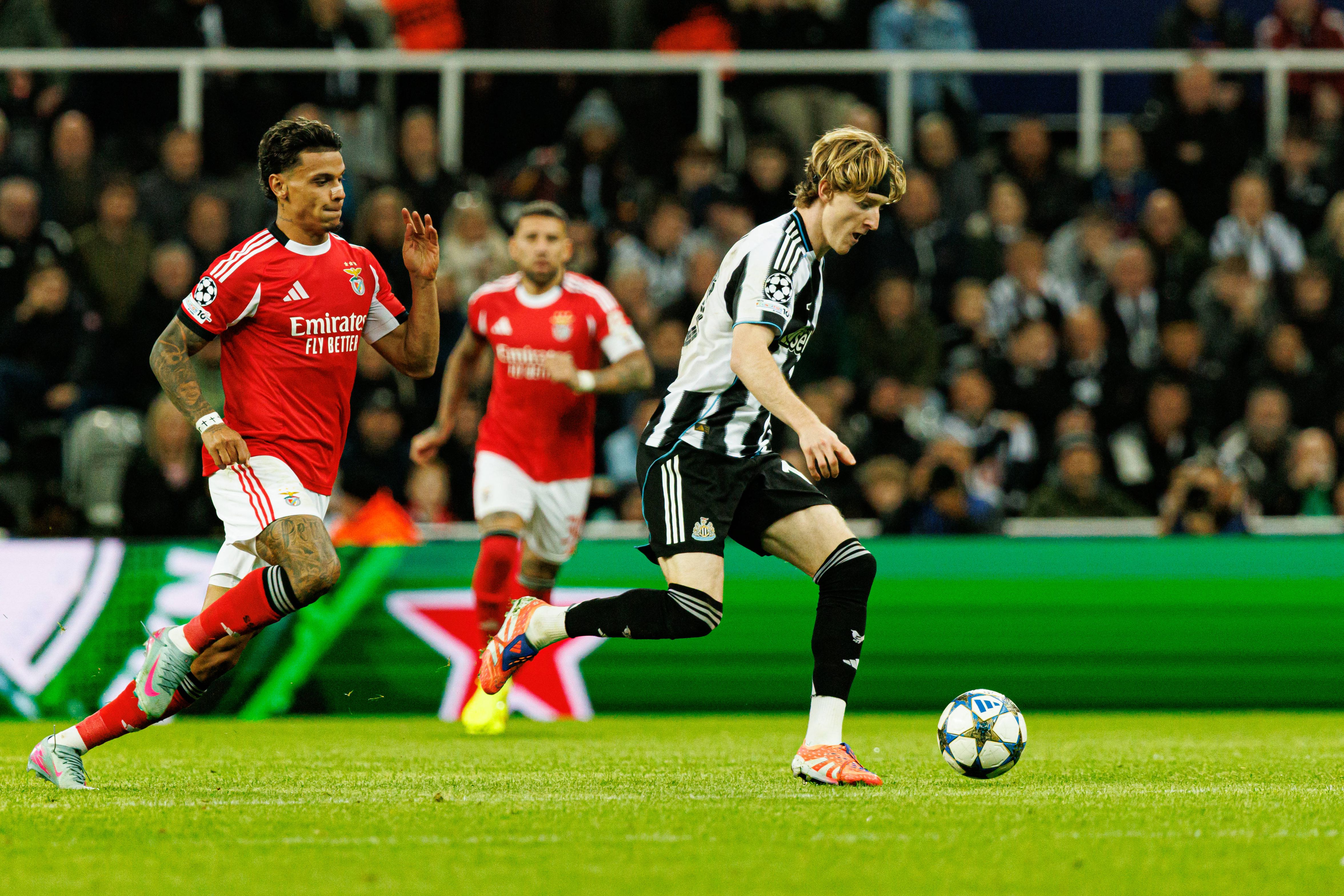Anthony Gordon em ação frente ao Benfica