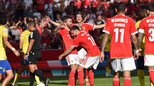 «Foi um prazer», «Obrigado», «És muito grande»: plantel do Benfica celebra Rafa