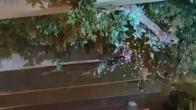 O discurso de Varandas no jantar dos campeões