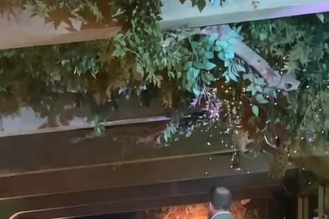 O discurso de Varandas no jantar dos campeões