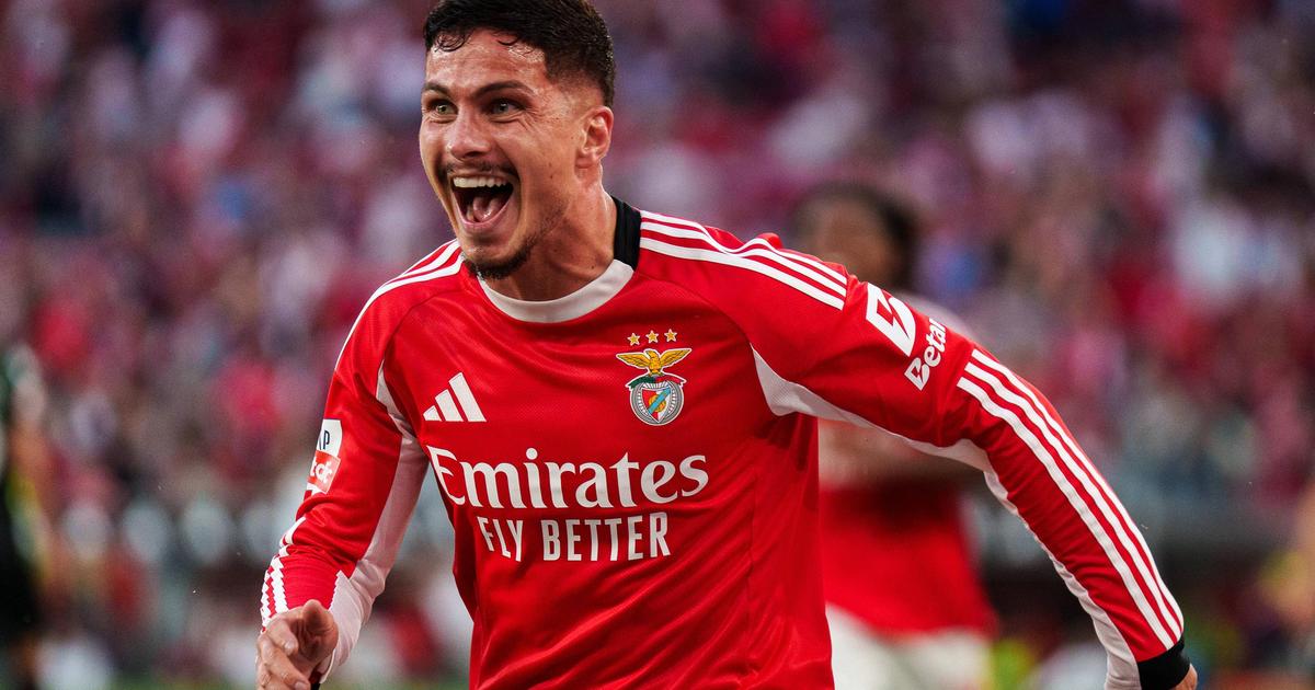 Mercado Benfica: Ivanovic entra no radar turco