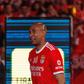 Luisão, antigo capitão do Benfica