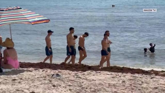Jogadores da Seleção deram passeio à beira-mar em Palm Beach