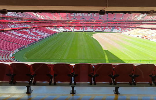 A mudança do relvado do Estádio da Luz em 10 dias (foto)