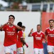 Em direto: primeiro 'round' do Benfica-Feyenoord começa é já às 11h