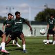 Luís Guilherme de olhos postos na bola - Foto: Sporting CP
