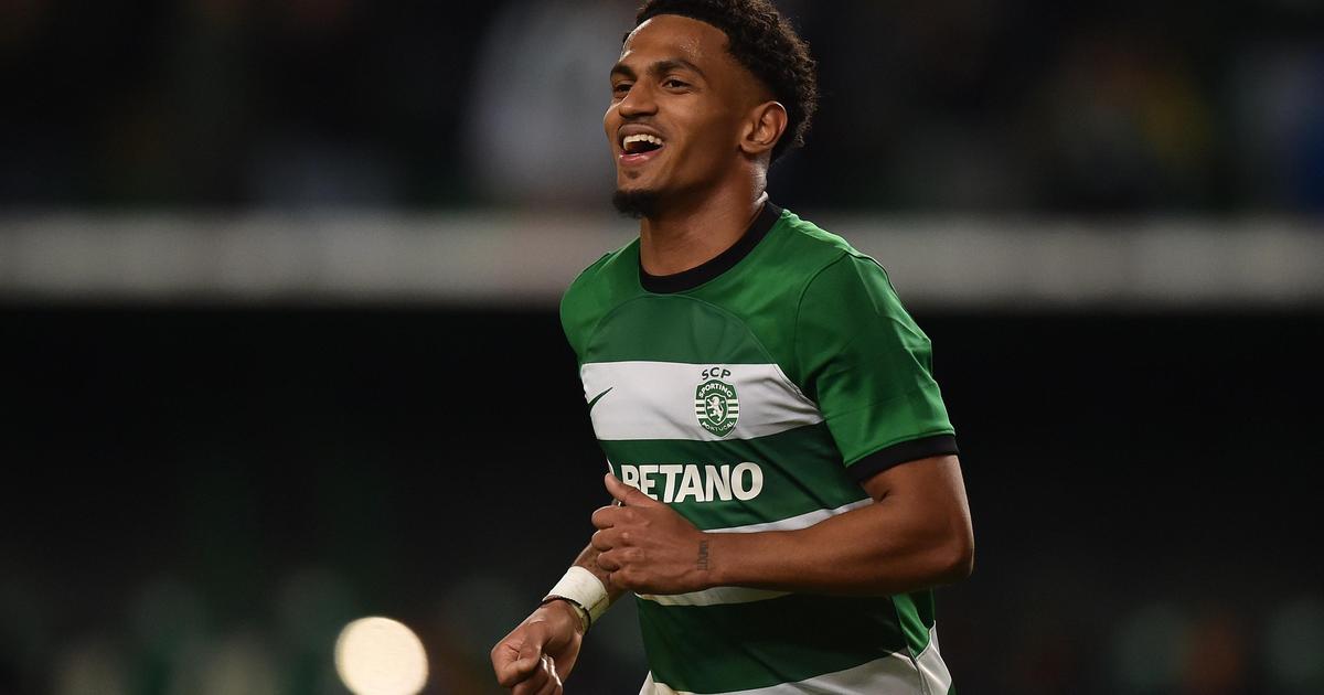 Marcus Edwards: Juventus já tem resposta do Sporting | A Bola