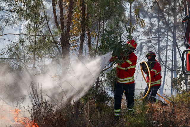 Bombeiros combatem incêndio. Foto: LUSA/FILIPE AMORIM