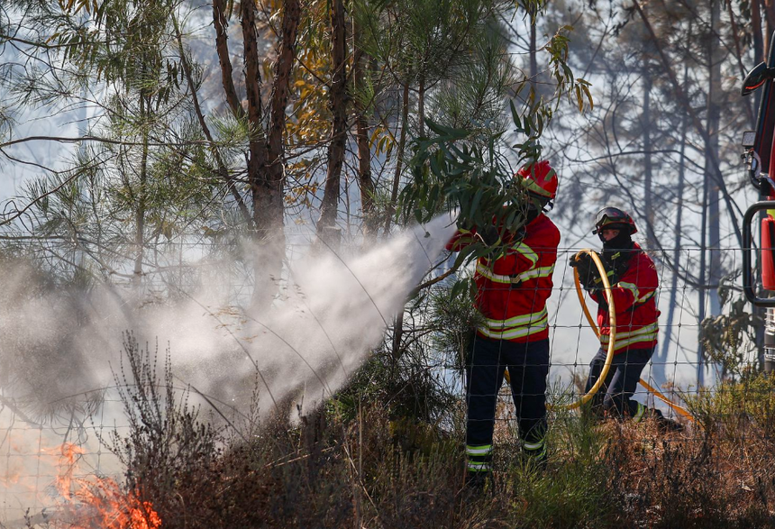 Bombeiros combatem incêndio. Foto: LUSA/FILIPE AMORIM