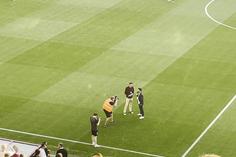 Bruno Aguiar homenageado antes do Hearts-Benfica
