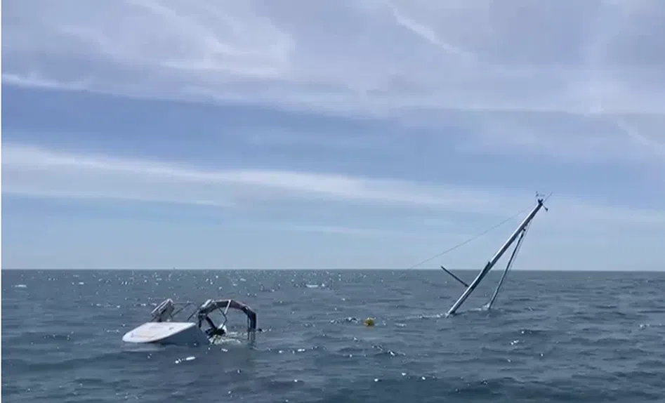 Orcas afundam veleiro! Ataque na Caparica