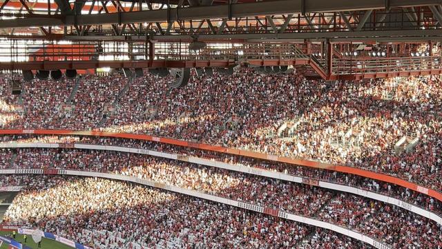 Os festejos do golo do empate, marcado por Pavlidis