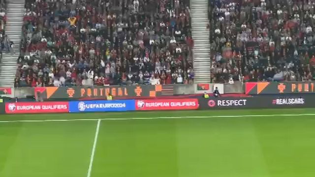 Adepto invade relvado no Portugal-Eslováquia