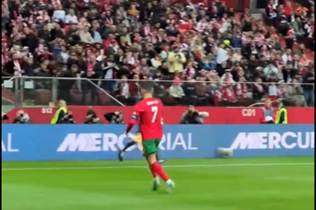 Vídeo: nem os polacos resistiram a celebrar o golo de Ronaldo