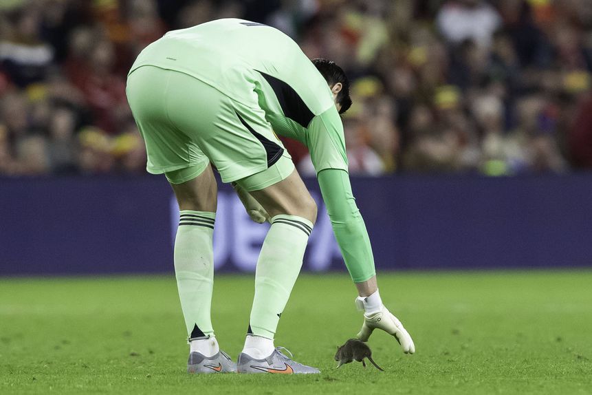 Courtois tenta apanhar o rato