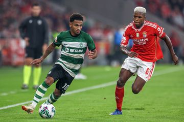 Sporting: Tottenham observou dois leões na Luz