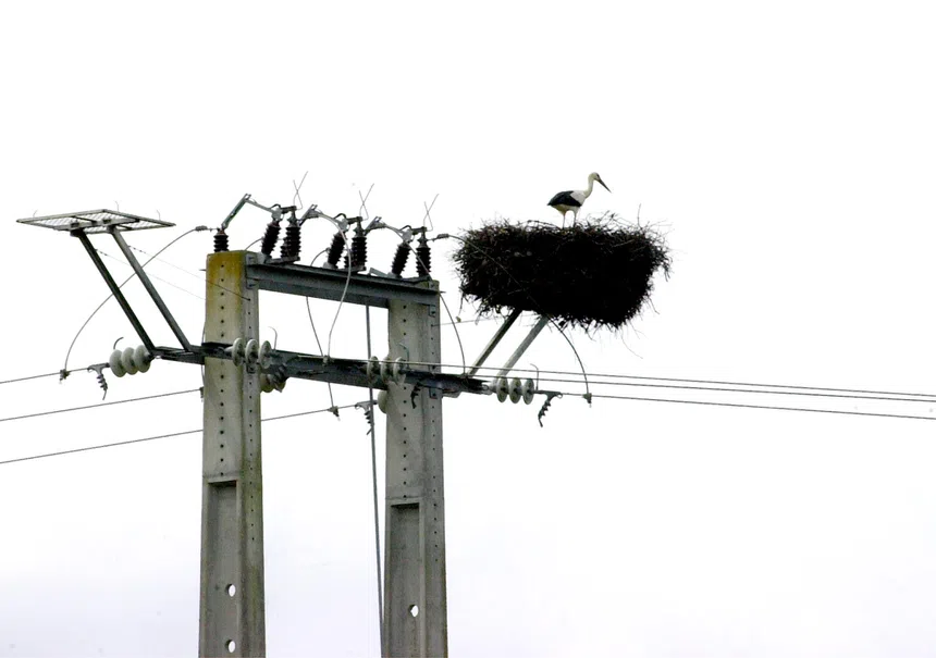 Apagão à vista! Coimbra, Lisboa em pânico