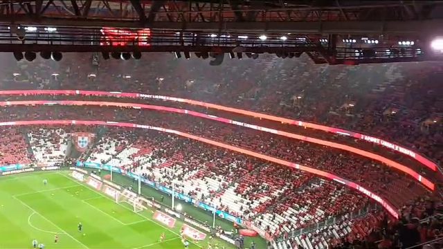 Nem a possibilidade de chuva afasta os adeptos do Benfica