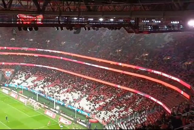 Nem a possibilidade de chuva afasta os adeptos do Benfica