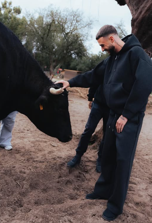 Internacional belga a explorar - Foto: INSTAGRAM/ZENO DEBAST