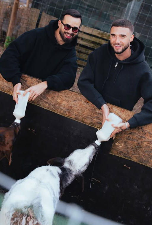 Central leonino meteu as mãos à obra na Associação Animais Sem Fronteiras -  Foto: INSTAGRAM/ZENO DEBAST