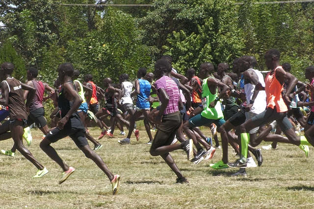 Viveiros de quenianos são patrocinados pelas grandes marcas
