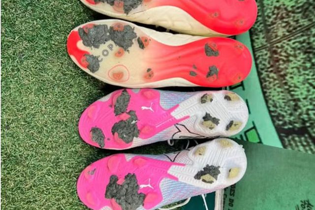 Palmeiras ainda não sabe quando pode voltar a jogar em casa