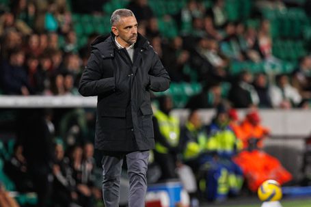 Rui Borges, treinador do Sporting