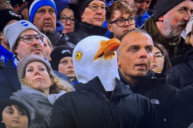 Fã do Brighton em Anfield (D.R.)