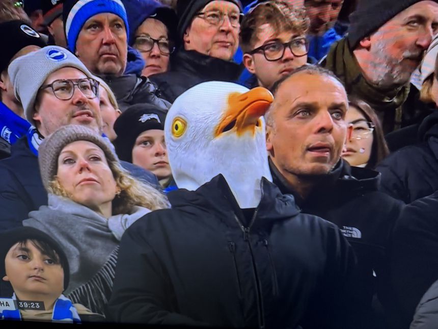 Fã do Brighton em Anfield (D.R.)
