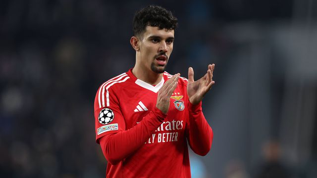 Tomás Araújo, central do Benfica, a aplaudir durante um jogo, no relvado