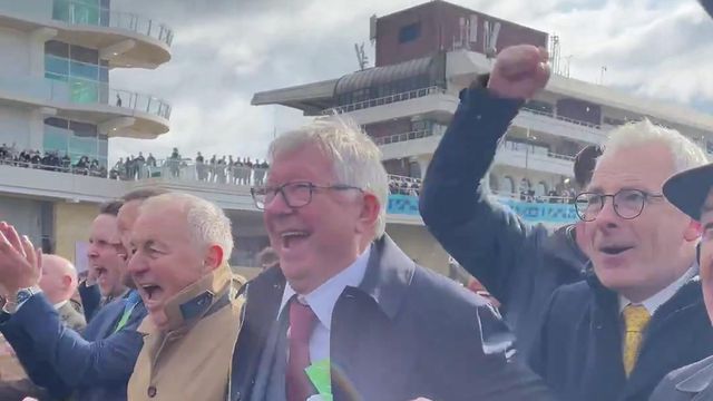 Cavalo que custou €770 mil dá alegria a Sir Alex Ferguson