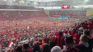 O relvado do estádio do Leverkusen está assim