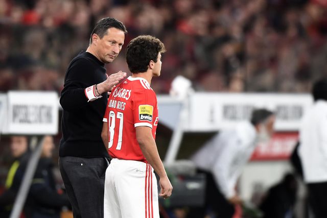 Roger Schmidt e João Neves no Benfica (foto: André Alves)