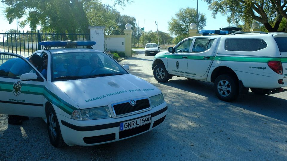 Da invasão à Academia de Alcochete à glória leonina