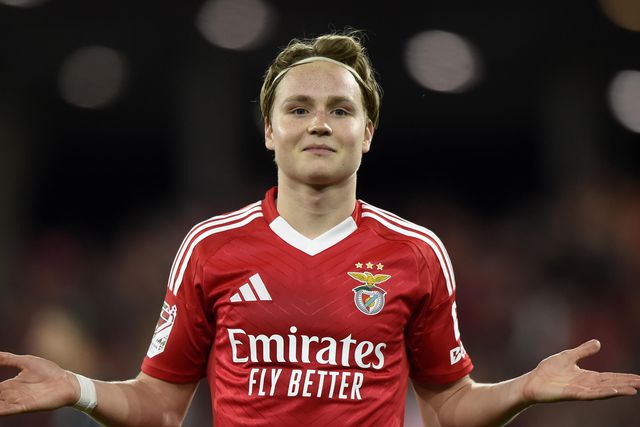 Que culpa tem Schjelderup?