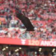 Americanos detêm mais de 5% da SAD do Benfica